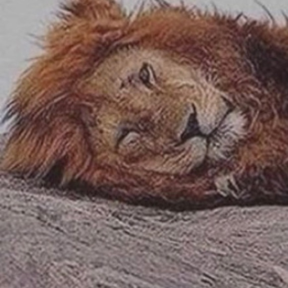 Meet your Posher, Steven